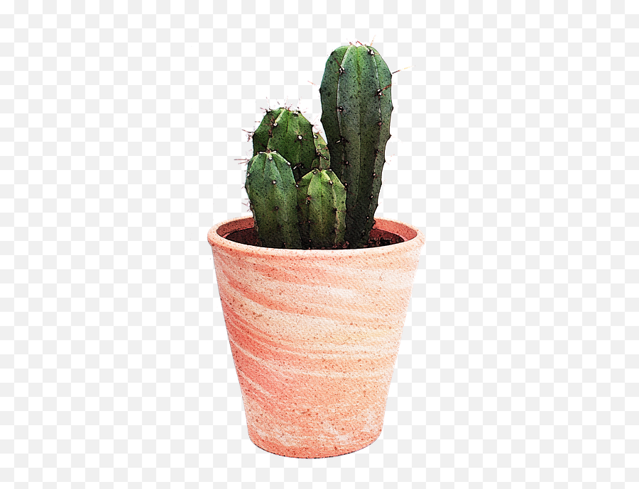 Free Photo Isolated Watercolor Cactus - Being Negative Only Makes A Difficult Journey Cactus Emoji,Plant, Emotions, Clipart