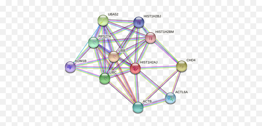 Hist1h2aj Protein Human - String Interaction Network Dot Emoji,Emotions In Condensation On Skin