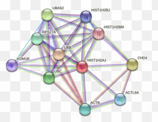 Hist1h2aj Protein Human - String Interaction Network Dot Emoji,Emotions In Condensation On Skin