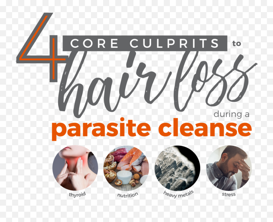 Hair Loss During Detox And Parasite Cleansing - Microbe Intime Express Logistik Emoji,Tavistock Cleanse Colon Emotions