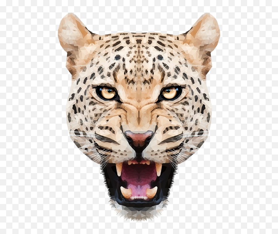 Leopard Face Png Transparent Images Free Download - Leopar Png Emoji,Fang Emoji Face