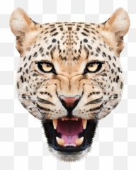 Leopard Face Png Transparent Images Free Download - Leopar Png Emoji,Fang Emoji Face
