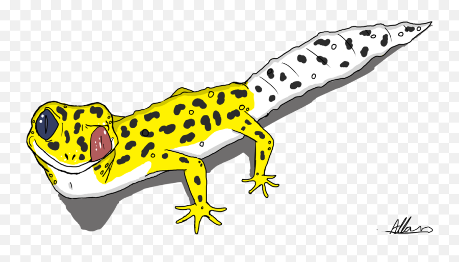 Salamander Free On Cartoon Leopard - Leopard Gecko Gecko Clipart Emoji,Salamander Emoji