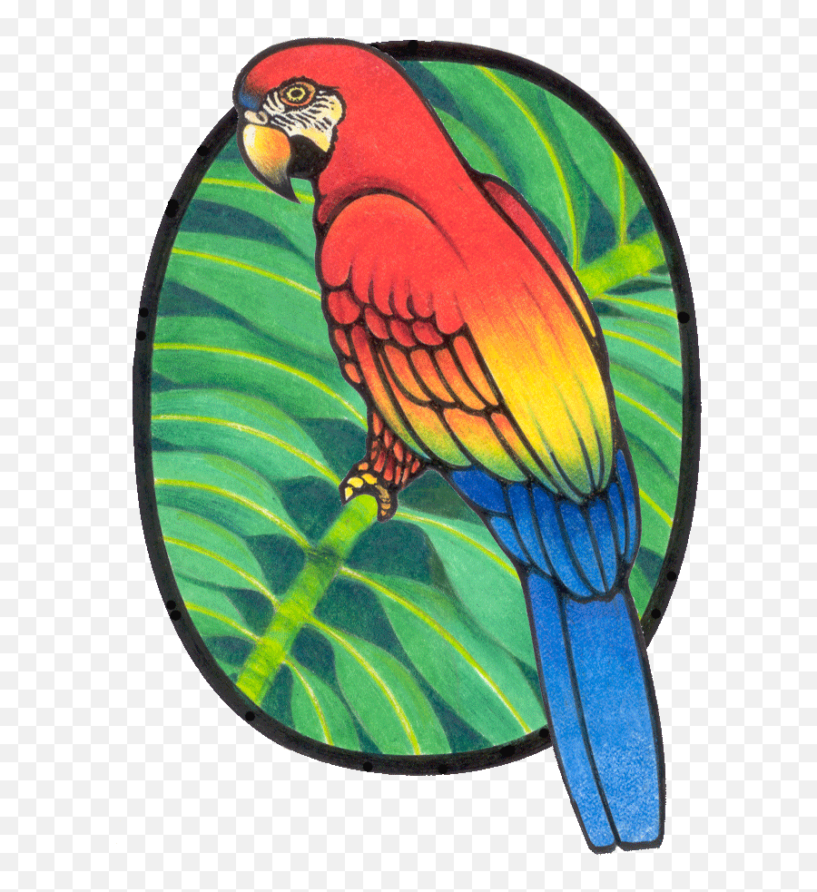Parrot Graphics And Animated Gifs - Parrots Emoji,Parrot Emoticon