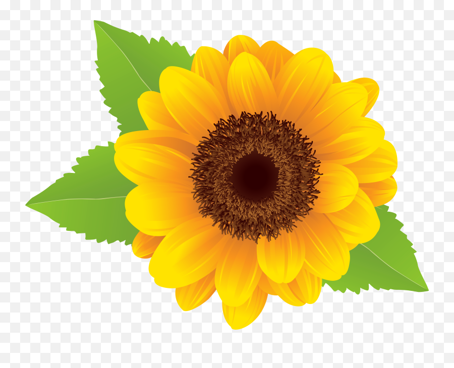 Flower Emoji Clipart Yellow Free Download Clipart Pictures - Sunflower Png Clipart,Yellow Flower Emoji