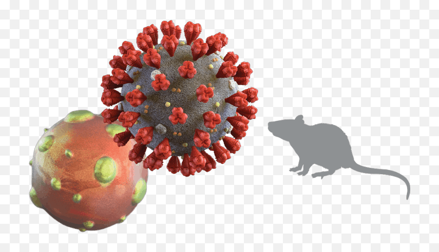 2020 State Of The Rodent Market Report The Role Of Disease - Hantavirus Png Emoji,How To Get Rare Steam Emoticons