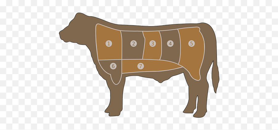 Meat Chart Butcher Vectors - Cow Beef Cuts Outline Emoji,Animal Emotions In Meat