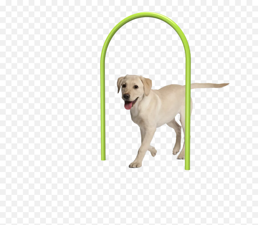 Commercial Outdoor Dog Park Equipment Miracle Recreation Emoji,Animal Life Cycle Emotion Code