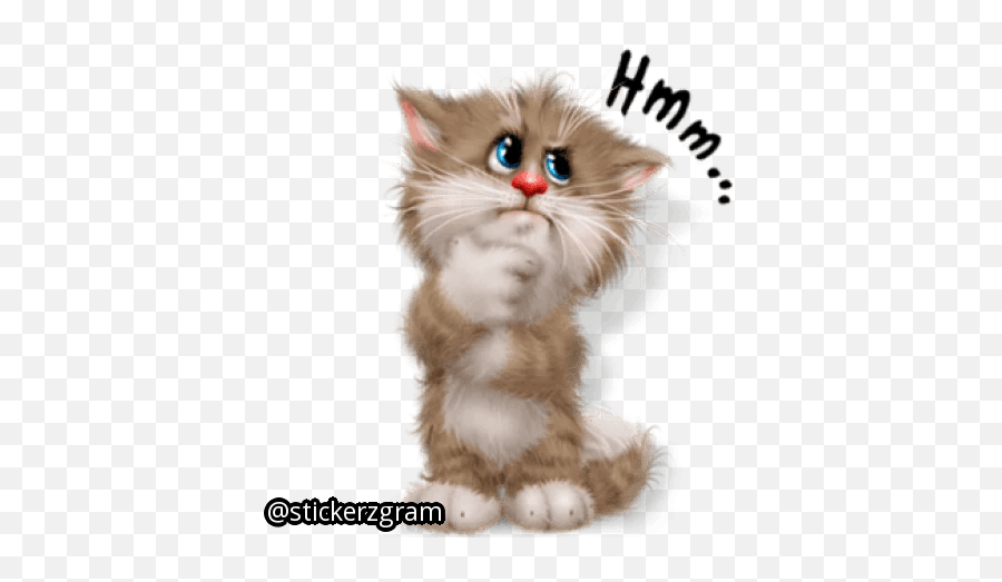 Meow Stickers - Live Wa Stickers Emoji,Hmm Emoji Sticker Meow Stickers - Live Wa Stickers Emoji,Hmm Emoji Sticker