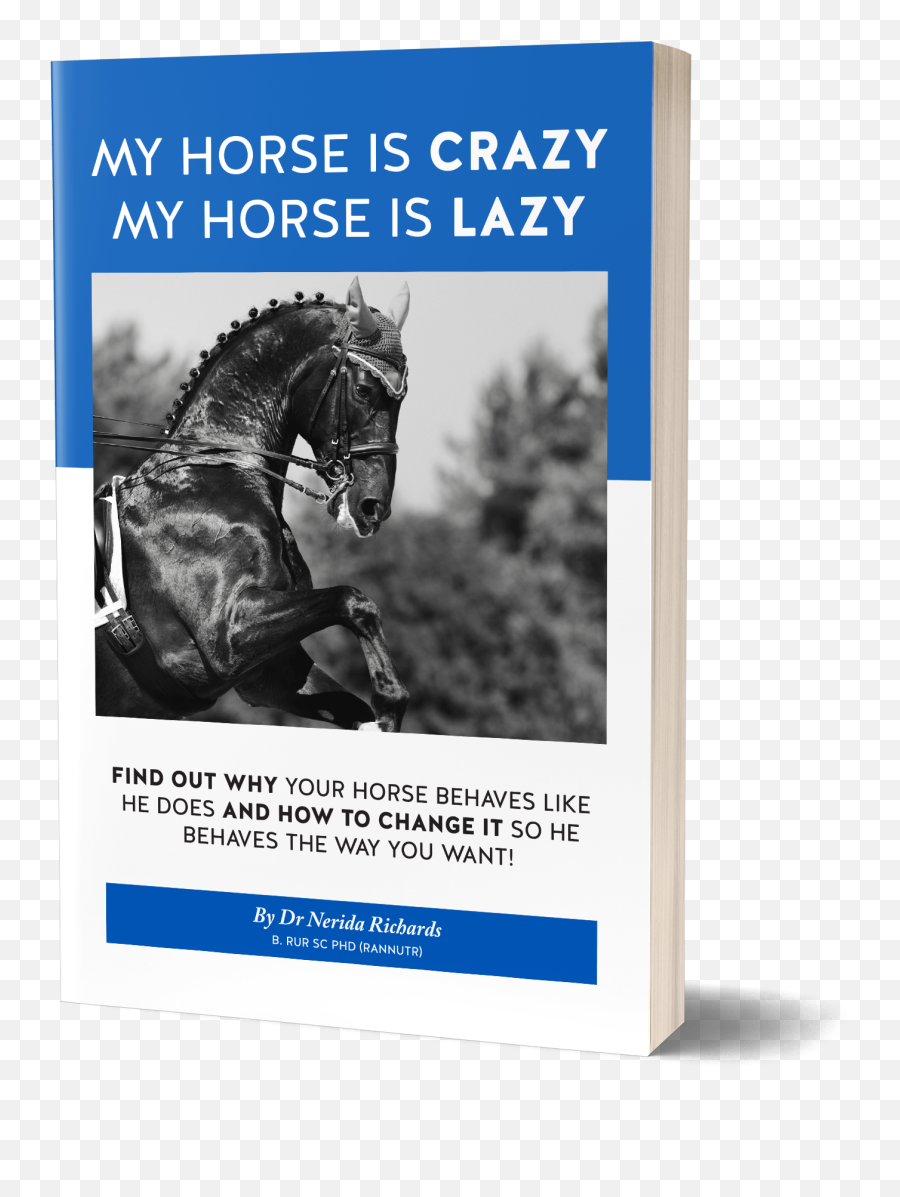 My Horse Is Crazy My Horse Is Lazy Ebook Emoji,So Crazy & Extreme. Wink Emoticon