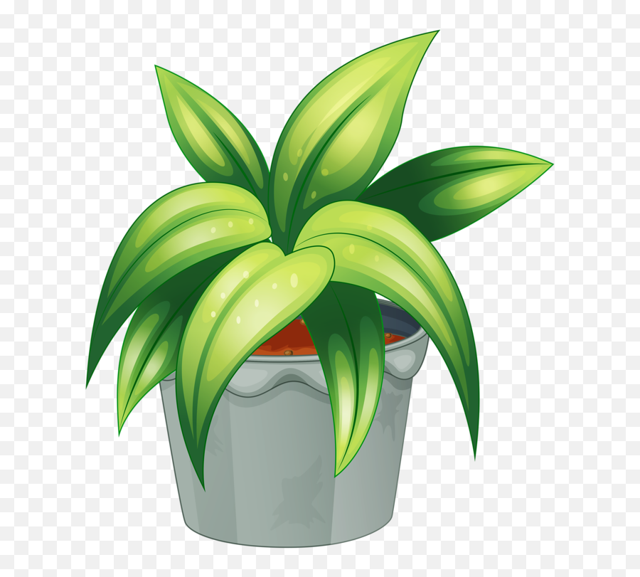 Plant Clipart Terrestrial Plant Plant Terrestrial Plant - Plant Clipart Png Emoji,Mimosa Emoji