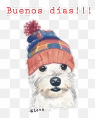 Sticker Maker - Beauty Stickers Emoji,Bichon Emoji