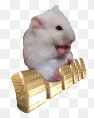Top Fear Sticker Stickers For Android U0026 Ios Gfycat Emoji,Frightened Hamster Slack Emoji