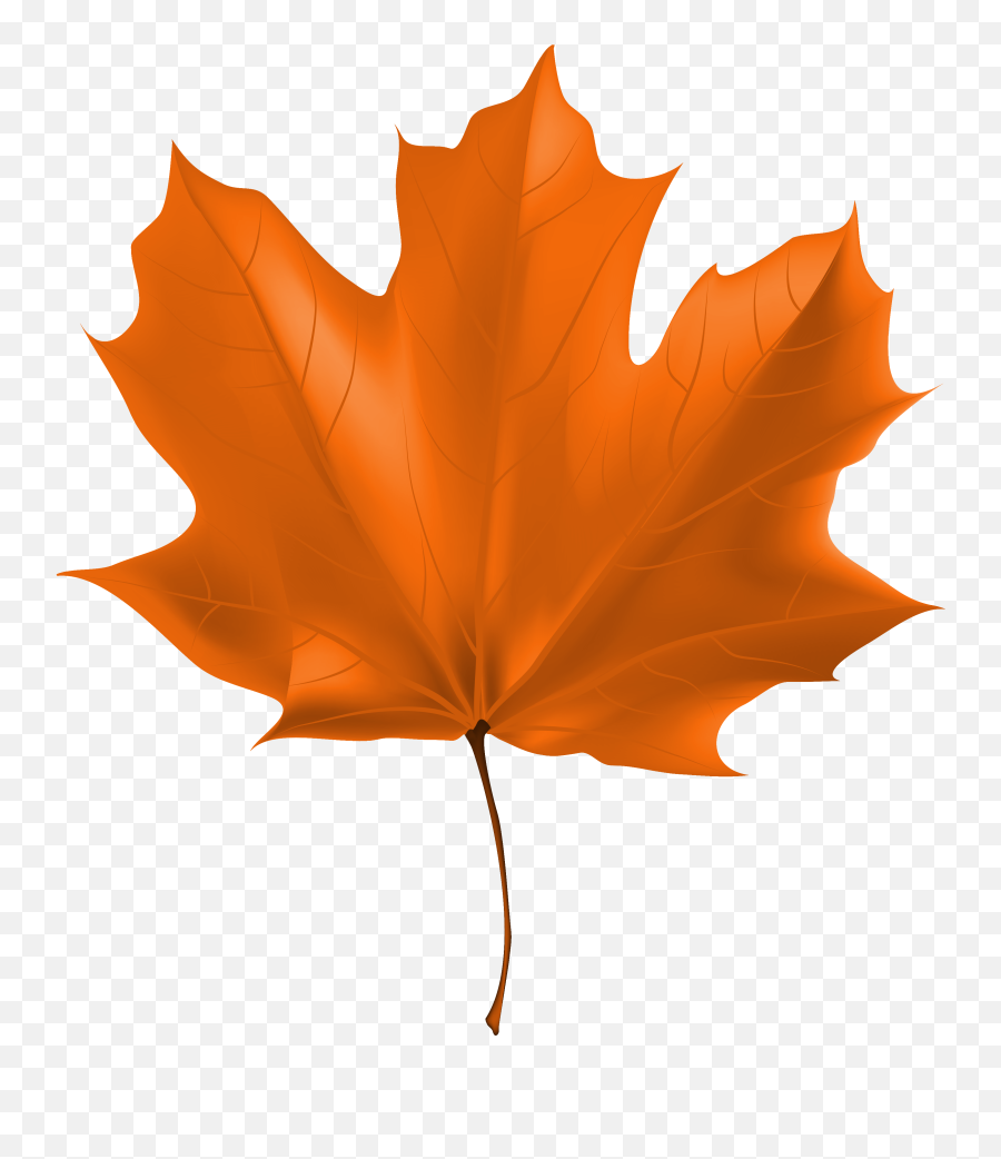 Clipart Leaves Red Fall Leaf Clipart - Transparent Fall Season Clipart Emoji,Fall Leave Emoji