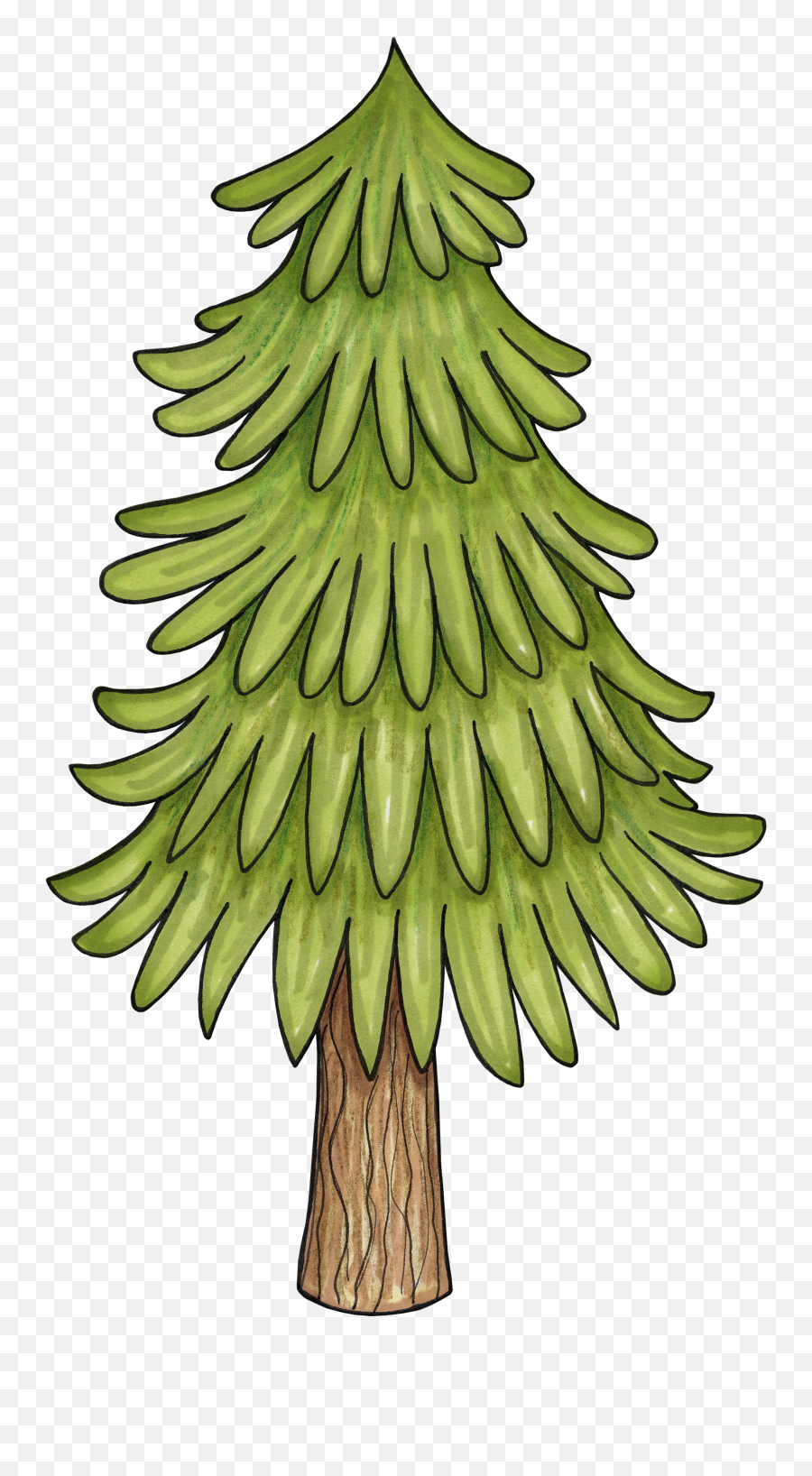 Plant Clipart Christmas Plant Christmas Transparent Free - Forest Tree Clipart Emoji,Safe Camp Emoji
