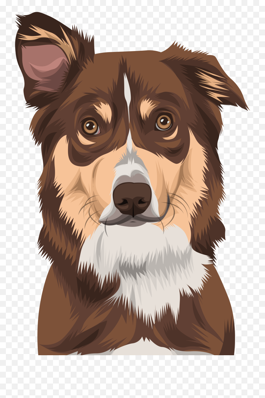 130 Ide Bighead Avatar Di 2021 - Northern Breed Group Emoji,Sheltie Emoji