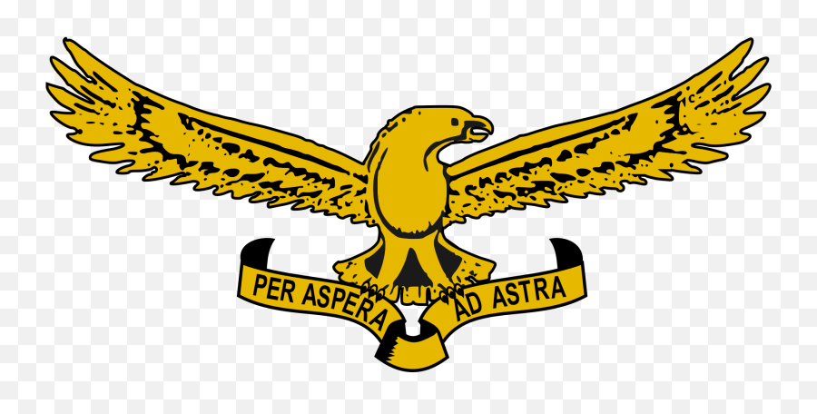Eagles Clipart Bird African Eagles Bird African Transparent - South African Airforce Logo Emoji,Eagles Emoji Nfl
