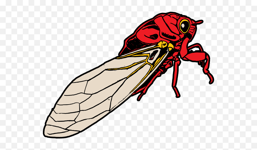 Bugs Clipart Cicada Bugs Cicada - Cicada Clipart Emoji,Cicada Emoji