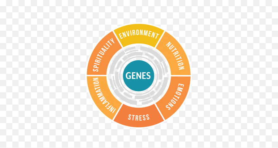 Genesis Matrix - Language Emoji,Elements And Emotions