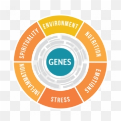 Genesis Matrix - Language Emoji,Elements And Emotions