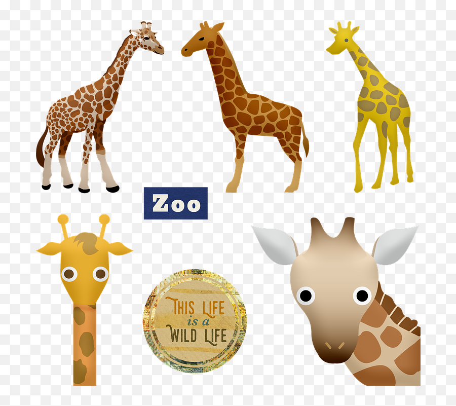 Free Photo Head Giraffe Animals Cute - Park Güell Emoji,Emotions In Zoo Animals