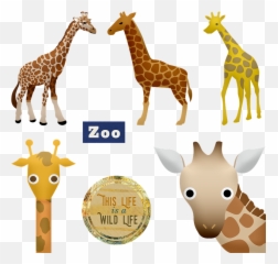 Free Photo Head Giraffe Animals Cute - Park Güell Emoji,Emotions In Zoo Animals