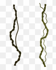 The Most Edited Vains Picsart - Vines Png Clipart Emoji,Fortnite Heart Emoticon 1000 X 1000