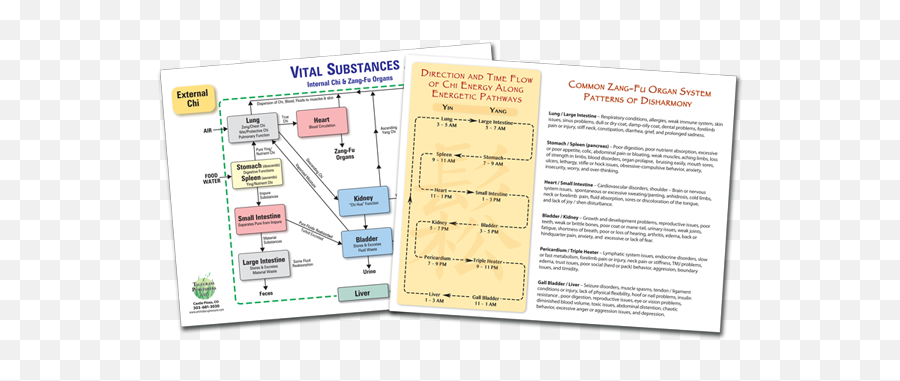 Zang - Fu Patterns U0026 Vital Substances Chart Document Emoji,Meridian Pathways Chart Teeth Emotions