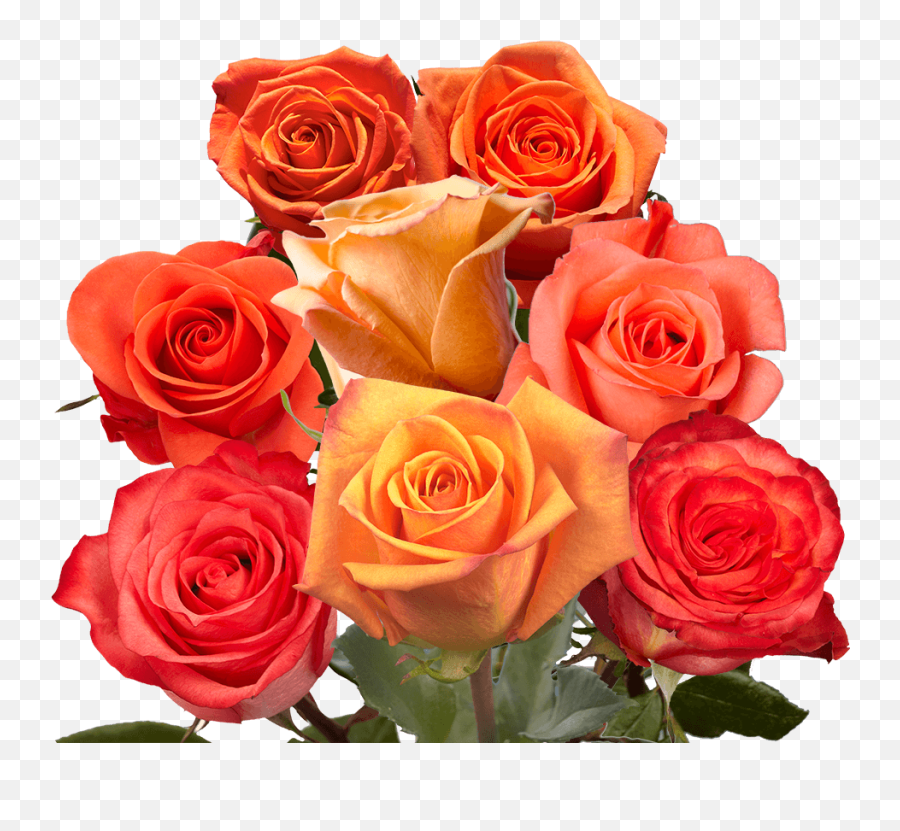 Fresh Cut Flowers - Garden Roses Emoji,Valentine Flowers Emotion Icon
