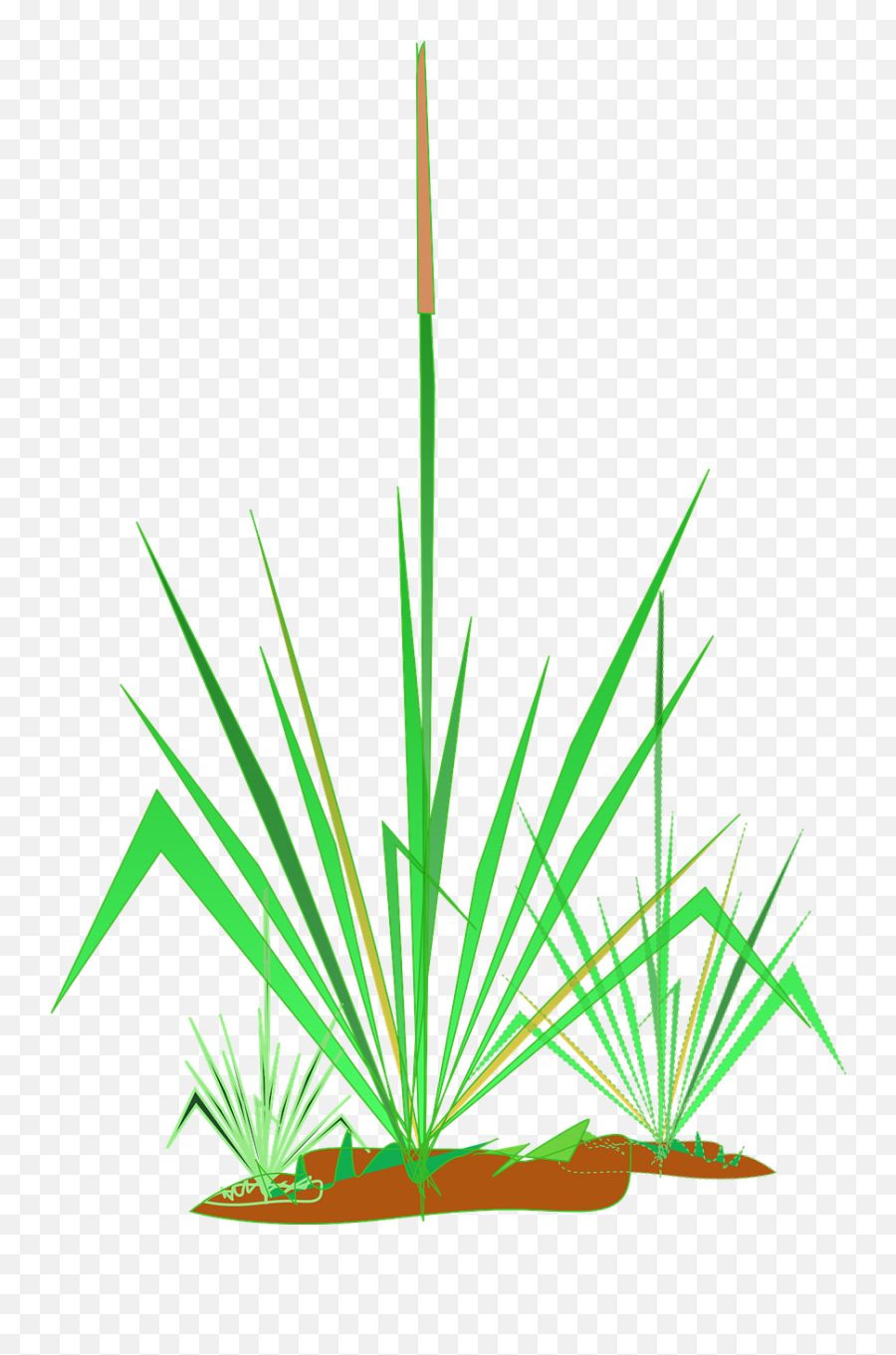 Grasses Pond Plant Green Nature Png Picpng Emoji,Herb Emojis