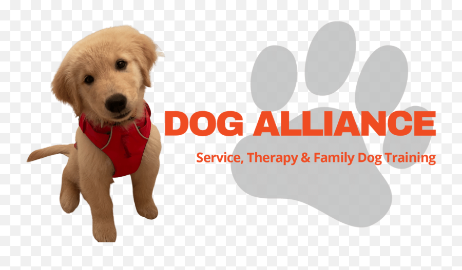 Bow Wow Therapy And Reading Dogs - A Program Of The Dog Alliance Emoji,Emotion Support Dog Vest