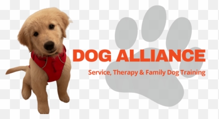 Bow Wow Therapy And Reading Dogs - A Program Of The Dog Alliance Emoji,Emotion Support Dog Vest