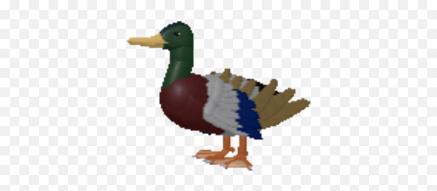 Sisay Dribbble Emoji,:ducky Emoji