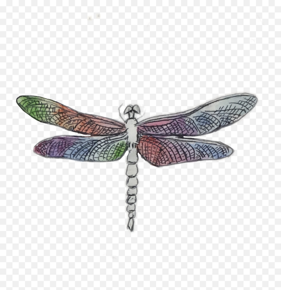 Art Dragonfly Freetoedit Sticker - Parasitism Emoji,Dragonfly Emoji