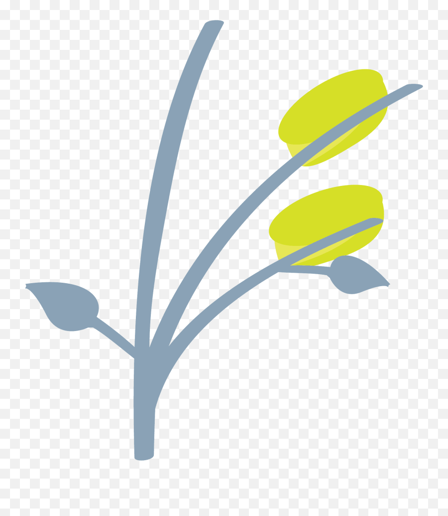 Sheaf Of Rice Emoji Clipart Free Download Transparent Png - Fresh,Plant Emojis