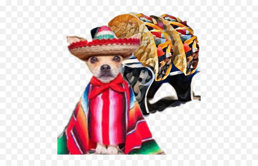 Chihuahua Dog Dogs Taco Tacos Food - Dog Clothes Emoji,Taco Emoji Hat