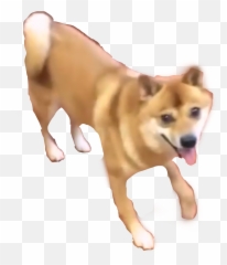 Shibe Shibenation Meme Doge Sticker - Dancing Doge Gif Png Emoji,Shibe Emoji