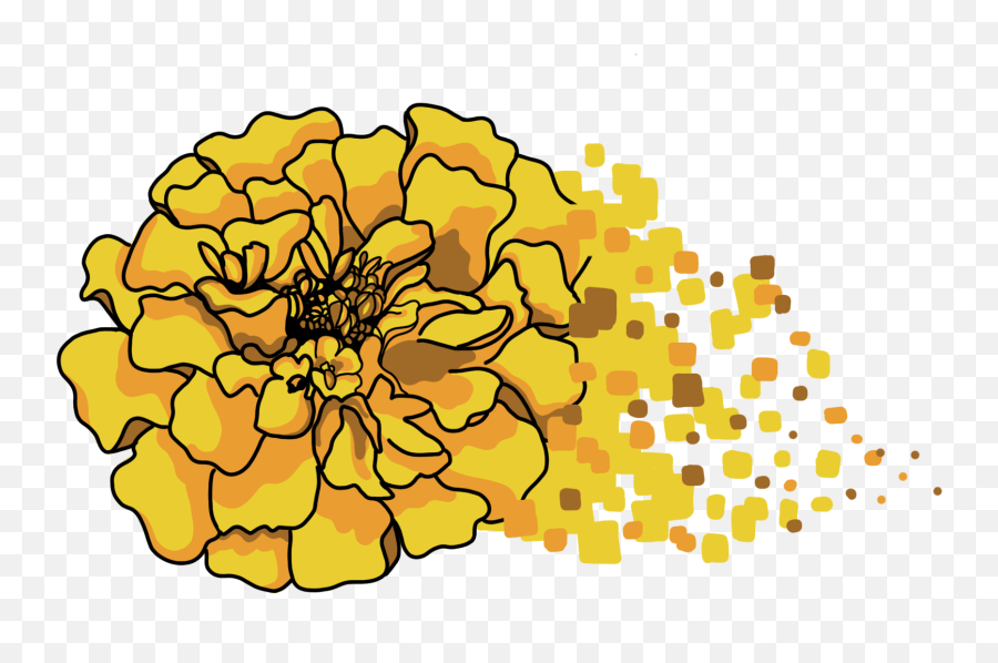 Beautifully Golden Marigold By Pinegrove - Nassau Weekly Dot Emoji,Zara Emotions