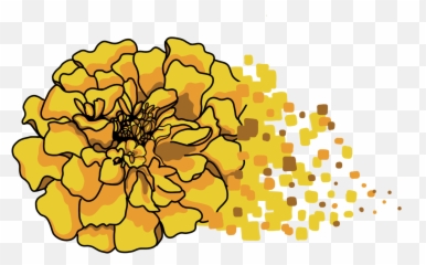 Beautifully Golden Marigold By Pinegrove - Nassau Weekly Dot Emoji,Zara Emotions