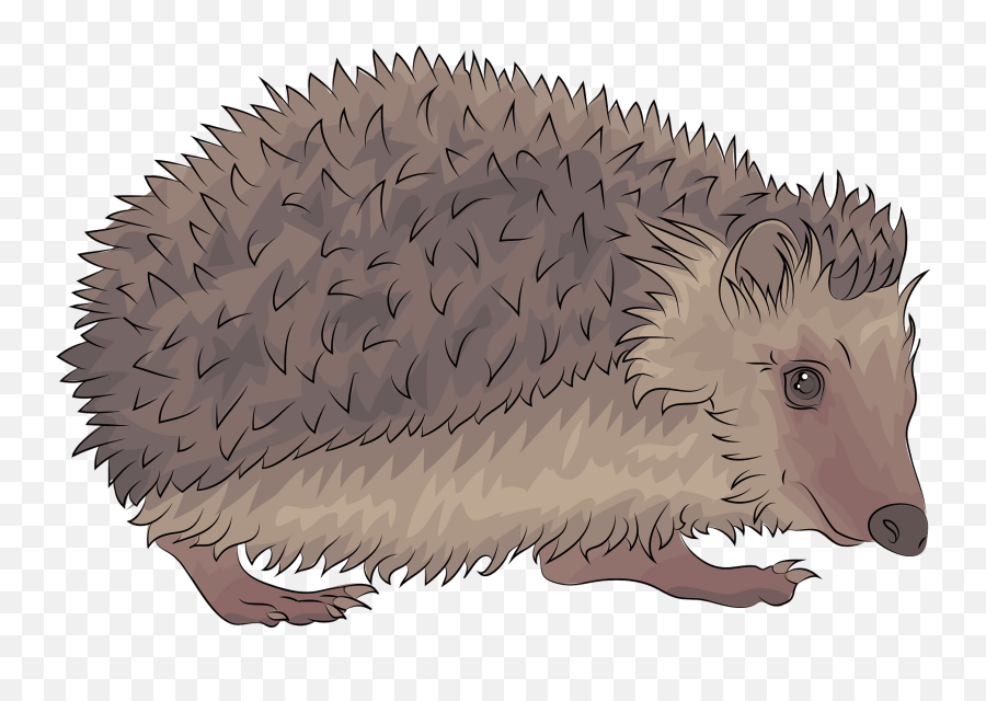 Hedgehog Clipart - Igel Clipart Emoji,Porcupine Emoji