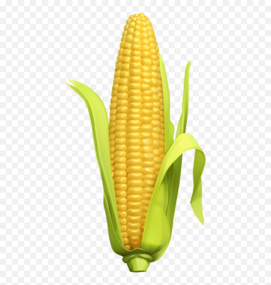 Free Png Download Corn Png Images Background Png Images - Corn Clipart Transparent Background Emoji,Corn Emoji