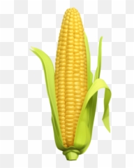 Free Png Download Corn Png Images Background Png Images - Corn Clipart Transparent Background Emoji,Corn Emoji
