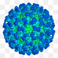 Coronavirus Png Image - Dot Emoji,Emoji Norovirus