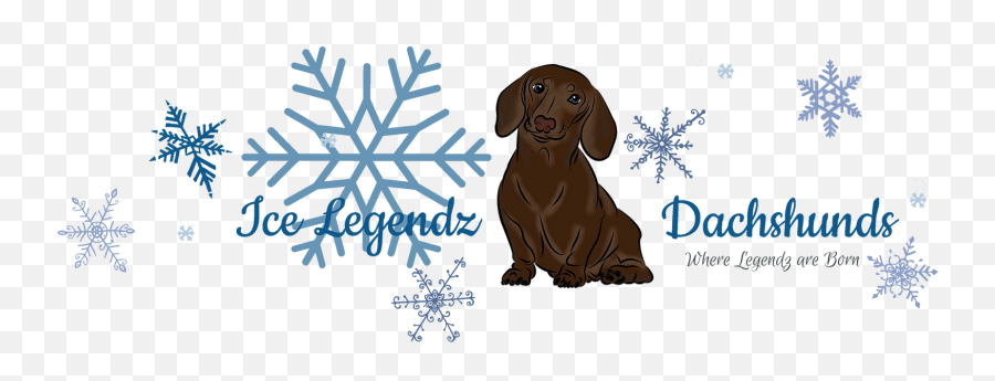 Dachshund Breeder Ice Legendz Dachshunds United States Emoji,Dachshund Emoticon Facebook