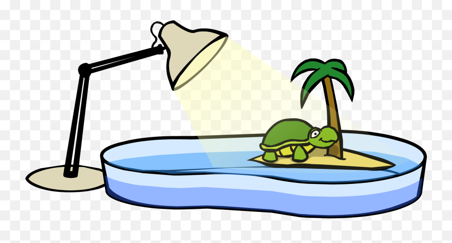 Turtle Bowl Club Penguin Wiki Fandom Emoji,Turtle Emojis