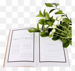 Moon Turtle Mood Journal - Horizontal Emoji,Moon And Emotions