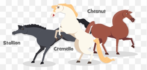 G3 Animals - Animal Figure Emoji,Cartoon Horse Faces Emotion