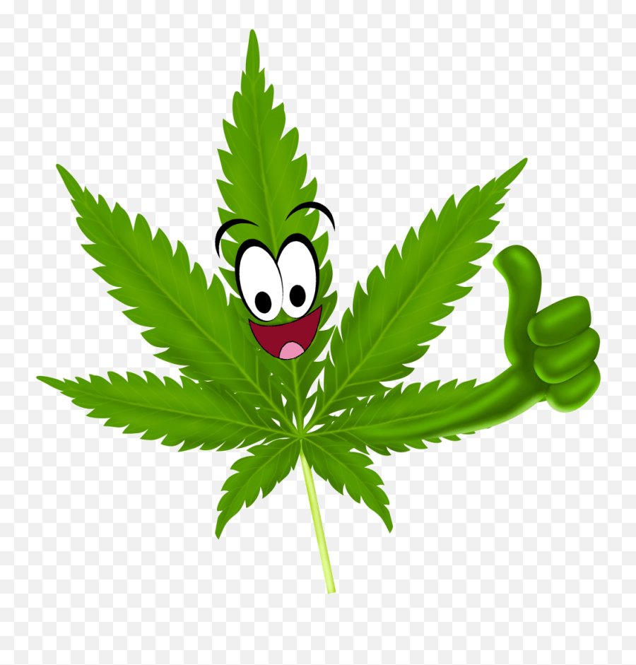 Makos Bambaata - Cannabis Leaf Thumbs Up Emoji,Weed Legalization Emoji