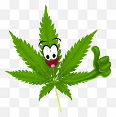 Makos Bambaata - Cannabis Leaf Thumbs Up Emoji,Weed Legalization Emoji