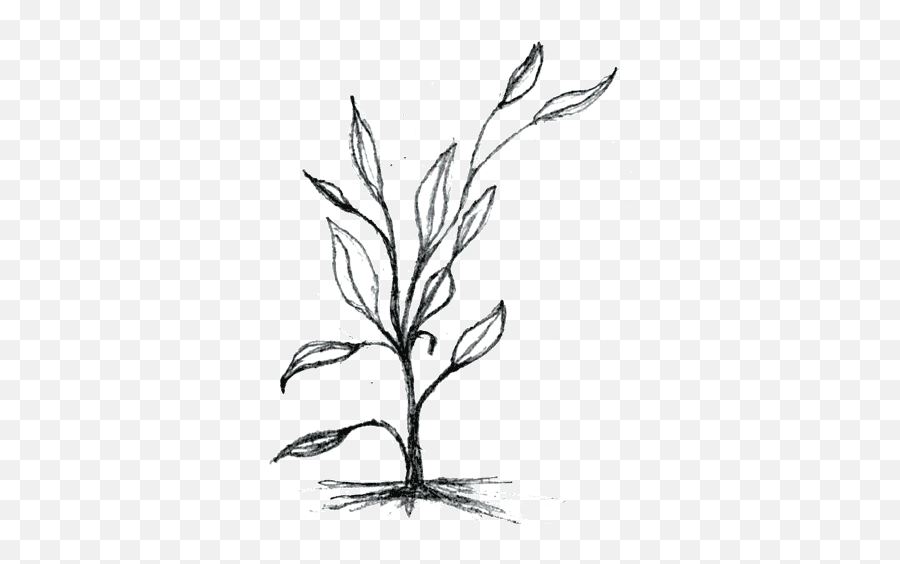 A Perfect World - Growing Plant Drawing Png Emoji,Plants Emotions Art